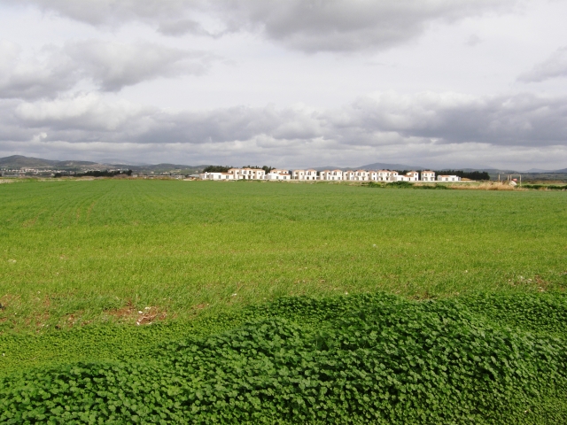 Plot of Coastline Land in Mandria-Paphos